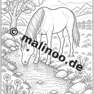農場ぬりえブック PDF デジタル版ダウンロード – 子供向けぬりえ20ページ – ブック02 第1版 (DIN-A4) 画像 9
