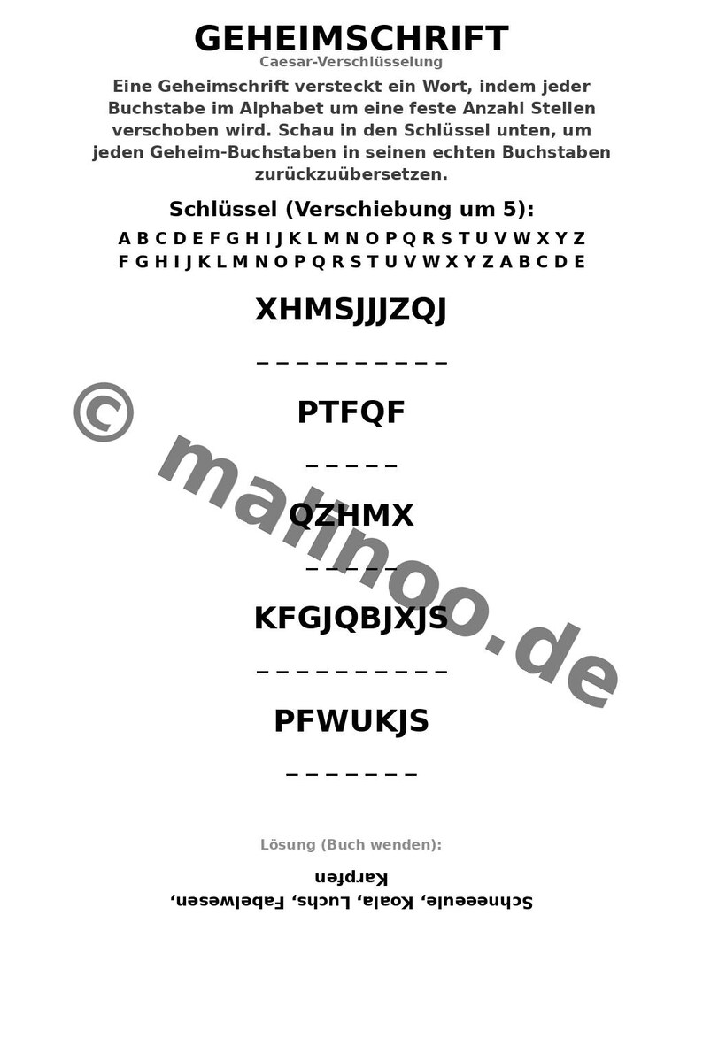 100 magische dierenpuzzels voor kinderen vanaf 8 jaar – Activiteiten om verveling op regenachtige dagen te verdrijven – Printbaar puzzelboek (PDF) E1 afbeelding 7