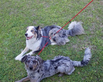 Multiple Dog Leash with 2 Couplers (handmade)