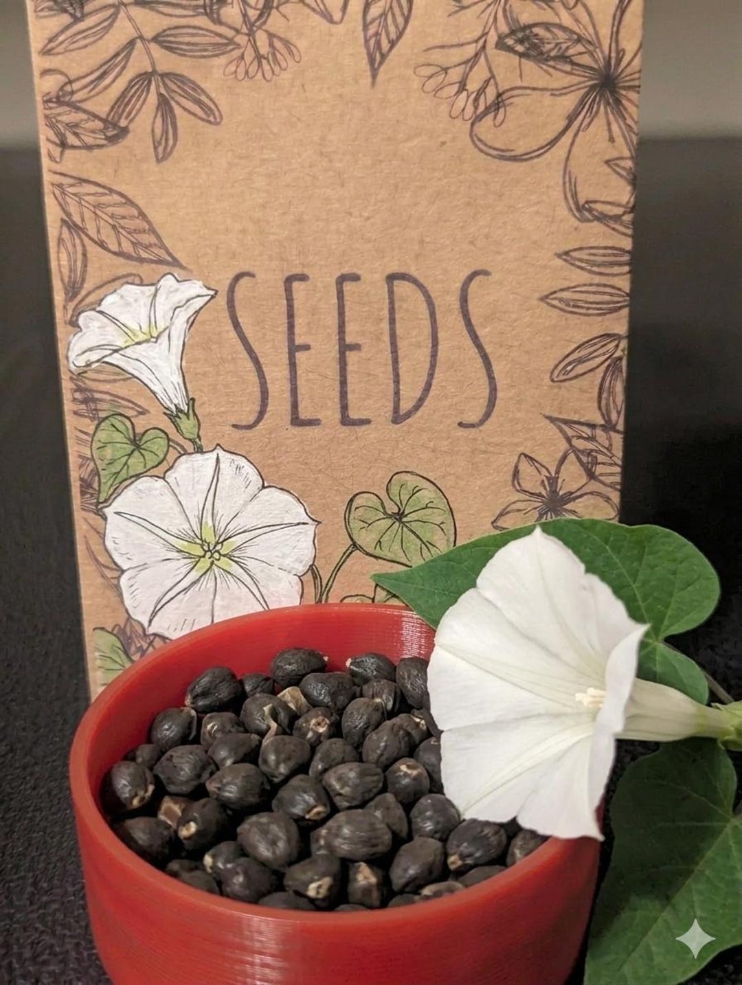 Moonflower SEED Packet 10 Seeds Etsy moonflower-seed-packet-10-seeds-etsy