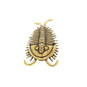 Puede incluir: Un broche de metal en tono dorado con forma de f&oacute;sil de trilobite. La pieza presenta un cuerpo central segmentado, una secci&oacute;n de cabeza redondeada con dos peque&ntilde;as protuberancias oculares y numerosas patas finas radiantes con dos antenas.