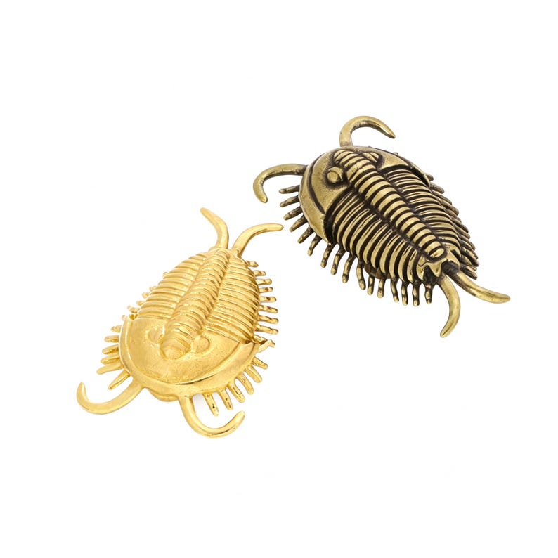 Tiradores de cajón de latón macizo con forma de trilobites, tiradores de armario fósiles, acabado en latón negro antiguo. imagen 3