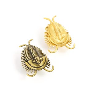 Puede incluir: Dos adornos de metal con forma de trilobites, uno con acabado dorado brillante y otro con acabado de lat&oacute;n antiguo. Cada pieza presenta un cuerpo segmentado, una secci&oacute;n de cabeza redondeada y antenas curvas que se extienden por ambos extremos.