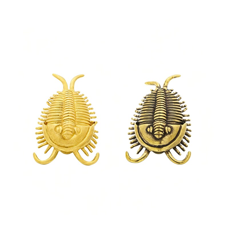 Puede incluir: Dos broches u ornamentos con forma de trilobite. El objeto de la izquierda es de un color dorado brillante y pulido con un acabado liso. El objeto de la derecha es de un color lat&oacute;n antiguo m&aacute;s oscuro con detalles en relieve.