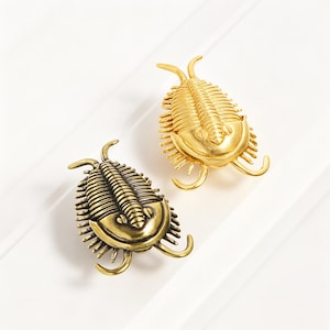 Könnte beinhalten: Zwei trilobitenförmige Metallanstecknadeln, eine mit glänzendem Goldfinish und die andere mit antikem Messingfinish. Jede Anstecknadel zeigt einen segmentierten Körper, einen abgerundeten Kopfbereich und mehrere gebogene Beine an den Seiten.