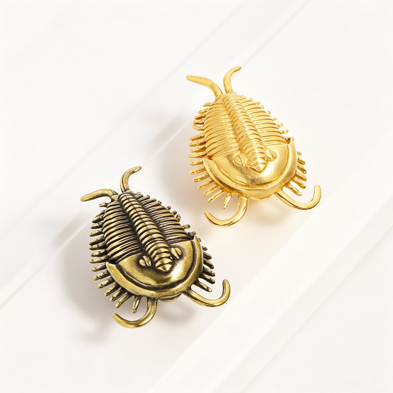 Puede incluir: Dos broches de metal con forma de trilobites, uno con acabado dorado brillante y otro con acabado de lat&oacute;n antiguo. Cada broche presenta un cuerpo segmentado, una secci&oacute;n de cabeza redondeada y m&uacute;ltiples patas curvas a los lados del f&oacute;sil.
