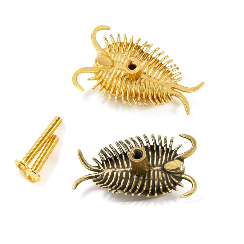 Puede incluir: Dos pomos para armario con forma de trilobite en acabados dorado y lat&oacute;n antiguo, cada uno con un poste de montaje roscado central en la parte posterior. Se incluyen dos tornillos roscados dorados a juego para instalar estos herrajes.