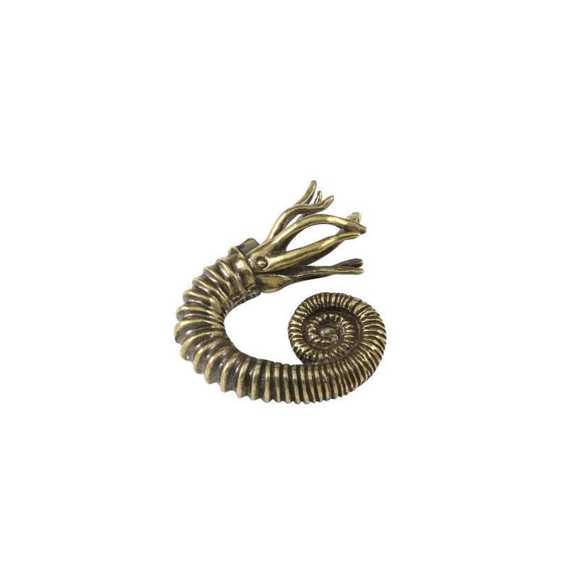 Replica Ammonite - Etsy - Page 4