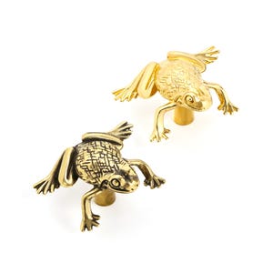 Puede incluir: Dos pomos para armarios con forma de rana hechos de metal. Un pomo tiene un acabado dorado brillante y pulido, mientras que el otro presenta un acabado de latón antiguo más oscuro. Ambos tienen el dorso texturizado y patas lisas con una base cilíndrica.