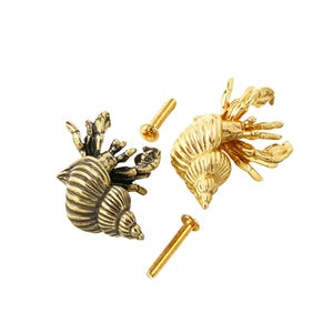 Può includere: Due pomelli per cassetti in metallo a forma di paguro, uno con finitura in ottone antico scuro e uno in finitura oro lucido, caratterizzati da dettagliate texture del guscio e delle chele, completi di due viti di montaggio in metallo.