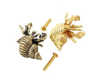 Solid Brass Hermit Crab Cabinet Knob, Nautical Sea Animal Drawer Pull, Coastal Decor