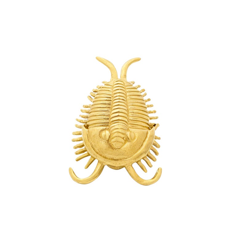 Puede incluir: Un broche de tono dorado con forma de f&oacute;sil de trilobite. La pieza presenta un cuerpo central segmentado, una secci&oacute;n de cabeza redondeada con dos peque&ntilde;as protuberancias oculares y numerosas patas finas y curvas en los laterales.