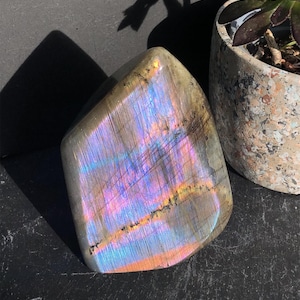 May include: A polished labradorite gemstone displaying iridescent colours of blue, purple, and gold. The stone has a smooth, rounded shape and is on a dark surface. A potted succulent plant is in the background.