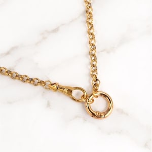 May include: A gold-toned metal chain necklace featuring a round spring-ring clasp and a pointed swivel dog clip fastener. The chain consists of uniform circular links connected in a continuous loop, showcasing a polished metallic finish throughout.