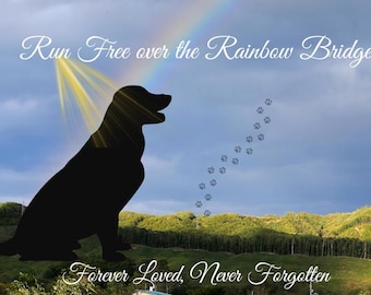 Haustier Gedenkkarte zum Ausdrucken, Hund Verlust Sympathie, Regenbogen Brücke Hund, Haustier Verlust Geschenk, druckbare Grußkarte, sofortdownload