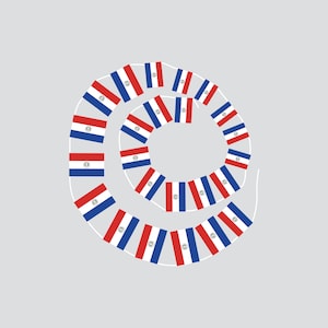 Op de afbeelding: Een spiraalvormig ontwerp bestaande uit kleine Paraguayaanse vlaggen, met rode, witte en blauwe strepen en een centraal embleem. De vlaggen zijn gerangschikt in een doorlopend, cirkelvormig patroon tegen een lichtgrijze achtergrond.