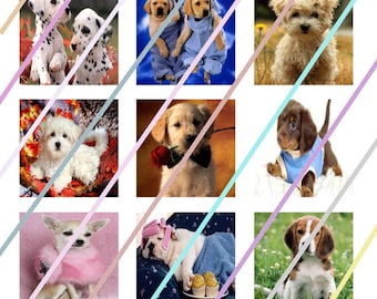 Cute Dogs 1 inch Square Tile Images 4x6 Digital Collage Sheet Instant Download