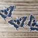 see more listings in the butterflies section