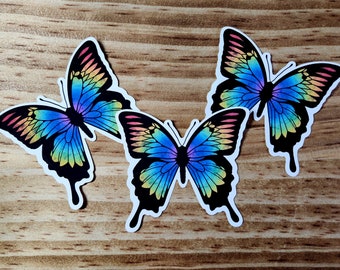 Rainbow Pride Butterfly