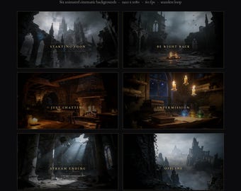 Dark Fantasy Animated Stream Overlay Pack | 6 Twitch Scenes | Gothic Soulslike Starting Soon BRB | OBS Streamlabs | 1080p 60fps Loop