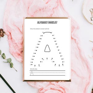 May include: A framed alphabet booklet with the letter "A" as a connect-the-dots activity. The booklet is on a white surface with pink fabric, a dried rose, and a paintbrush. The text "ALPHABET BOOKLET" is at the top.