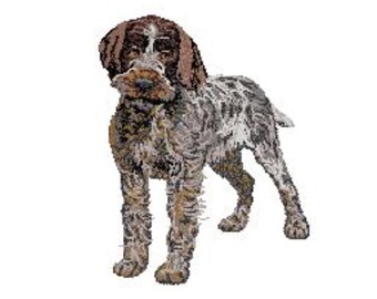 Wirehaired Griffon Etsy
