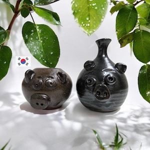 May include: Two ceramic pig-shaped vases. One is a dark brown, the other is black. Both have detailed snouts, ears, and eyes. The vases are set against a white background with green foliage.