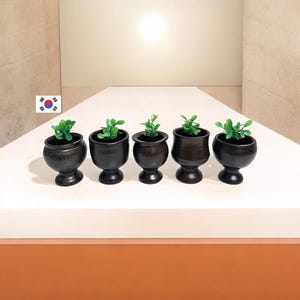 May include: Five small, dark brown ceramic pots, each holding a small green plant, are arranged in a row. The pots have a rounded shape with a pedestal base. The background is a neutral color, with a bright light source above.