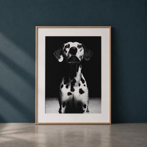 Op de afbeelding: Zwart-wit ingelijste print van een Dalmatische hond. De hond staat centraal en kijkt omhoog. Zijn vacht heeft kenmerkende zwarte vlekken op een witte basis. De lijst is licht van kleur, wat een klassieke uitstraling geeft.