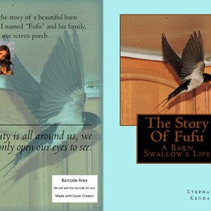The Story Of Fufu ~ A Barn Swallow&#39;s Life