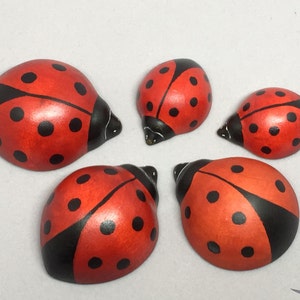 Toy Ladybird Wood red white black Size: 4,0 x 1,8 x 5,0 cm bxhxs ca. 12,0 gr. image 4
