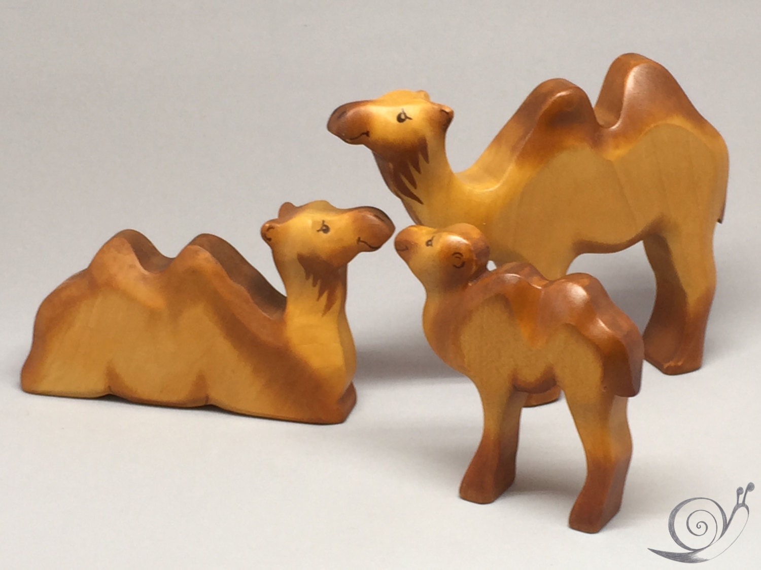 GEOFFREY B. SMALL／NLWJ05 (Baby Camel) Rare Snow White, Blue-Eyed Camel Born at Tennessee Zoo