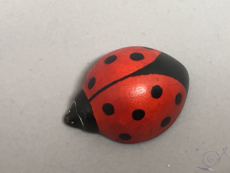 Toy Ladybird Wood red white black Size: 4,0 x 1,8 x 5,0 cm bxhxs ca. 12,0 gr. image 5