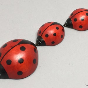 Toy Ladybird Wood red white black Size: 4,0 x 1,8 x 5,0 cm bxhxs ca. 12,0 gr. image 3