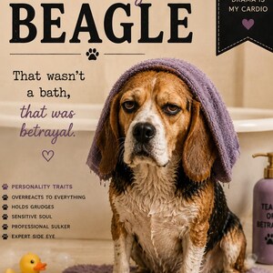 May include: A wet Beagle dog with a purple towel on its head, sitting on a purple mat. The image includes text that says "Dramatic Dog BEAGLE" and "That wasn't a bath, that was betrayal." A rubber duck and a bottle of "Tears of Betrayal" are also visible.