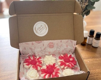 Set de regalo Daisy Melt