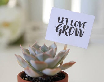 Let Love Grow / Weddings / Chic / Planter labels / Succulent Weddings / 12 toppers per 1 order