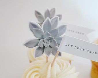 Succulent Let Love Grow Cupcake Toppers: Set of 24