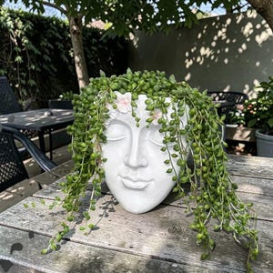Modern Face Wall Hanging Planter, Minimalist Sculpture, Artistic Urn Vase