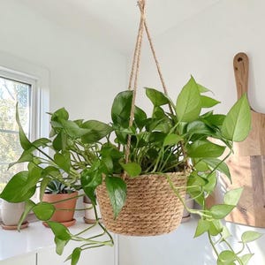 May include: A rustic wooden sign with the text "Welcome to our home" in a handwritten style. The sign has a distressed finish and a simple, inviting design, ideal for a front porch or entryway.