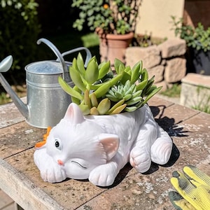Kattkruka i harts, nyckfull banddesignad blomkruka, suckulent skrivbordsdekor