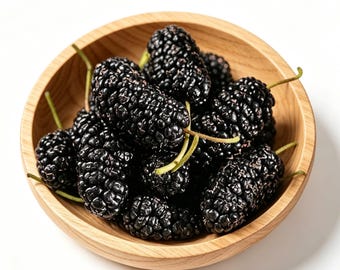 Moras secas, moras secas enteras, fruta natural para té y aperitivos.