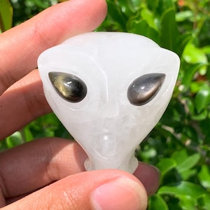 Op de afbeelding: Een gesneden wit kristallen beeldje in de vorm van een alienhoofd met twee gladde, donkere, metaalachtig glanzende stenen als ogen. De doorschijnende witte steen heeft een gepolijst oppervlak en een uitgesproken, puntige gezichtsstructuur.