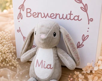 Peluche Coniglietto Personalizzato con Nome e Scatola Regalo, Peluche Nascita 21 cm, Regalo Nascita, Regalo Battesimo, Regalo Compleanno