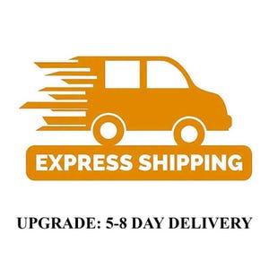 Puede incluir: Un gráfico naranja de una furgoneta de reparto con líneas de velocidad, encima de una pancarta rectangular con las palabras "EXPRESS SHIPPING" en blanco. La imagen está sobre un fondo blanco.