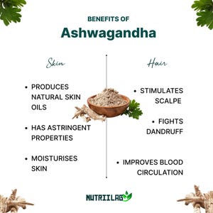 May include: An infographic detailing the benefits of Ashwagandha for skin and hair. The image features a wooden bowl filled with a brown powder, along with text listing benefits such as producing natural skin oils and improving blood circulation.