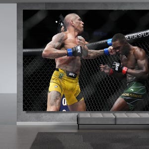 May include: A large canvas print of a UFC fight in progress. Two muscular fighters are in a cage, one throwing a punch. The fighter on the left wears yellow shorts and blue gloves. The other fighter wears green shorts and red gloves.