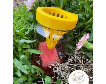 Piège frelon asiatique - Asian Hornet Trap - Aziatische Hoornaar Val - Selectieve Bijenvriendelijke Val - vastschroeven op jampot van Ø60mm