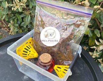 Trappola per calabroni asiatici - Griglie box amichevoli - Vespa velutina - Vespa asiatica - Trappola per calabroni asiatici - Piège frelon asiatique