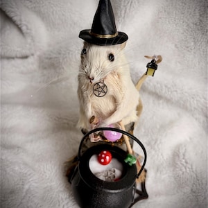 Potion Keeper Rat Figurine: Witch Hat, Cauldron, Lantern – Mystical Decor